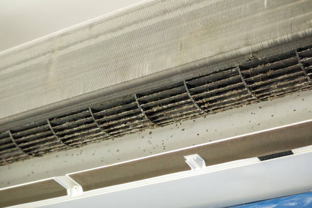 Best Air Duct Cleaning Near Me  in Bryson City, NC